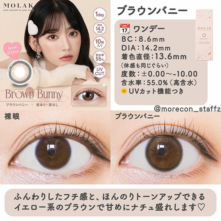 MOLAK - 1day Brown Bunny (10P)