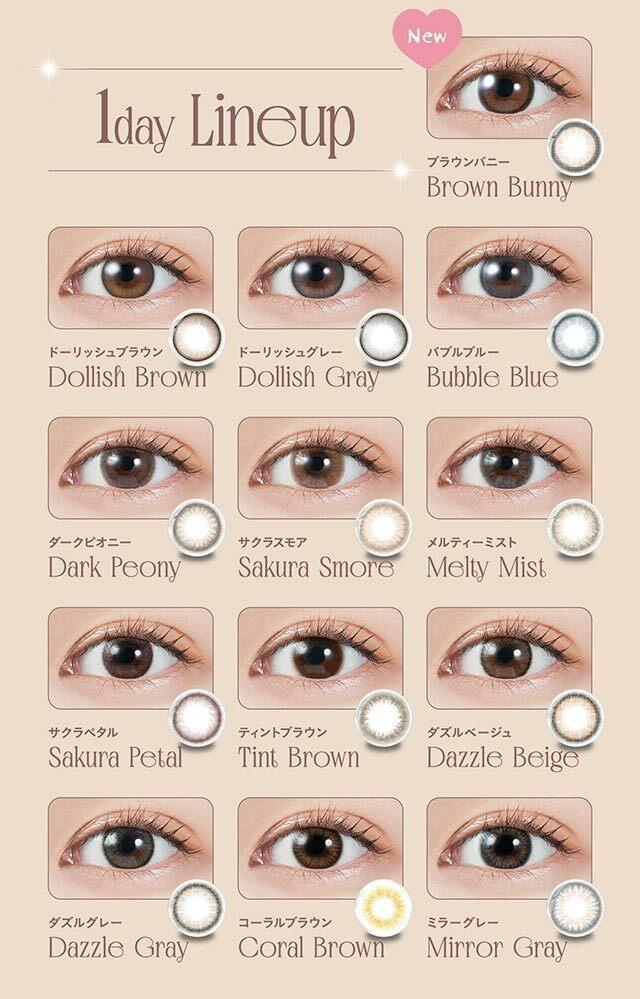 MOLAK - 1day Brown Bunny (10P)