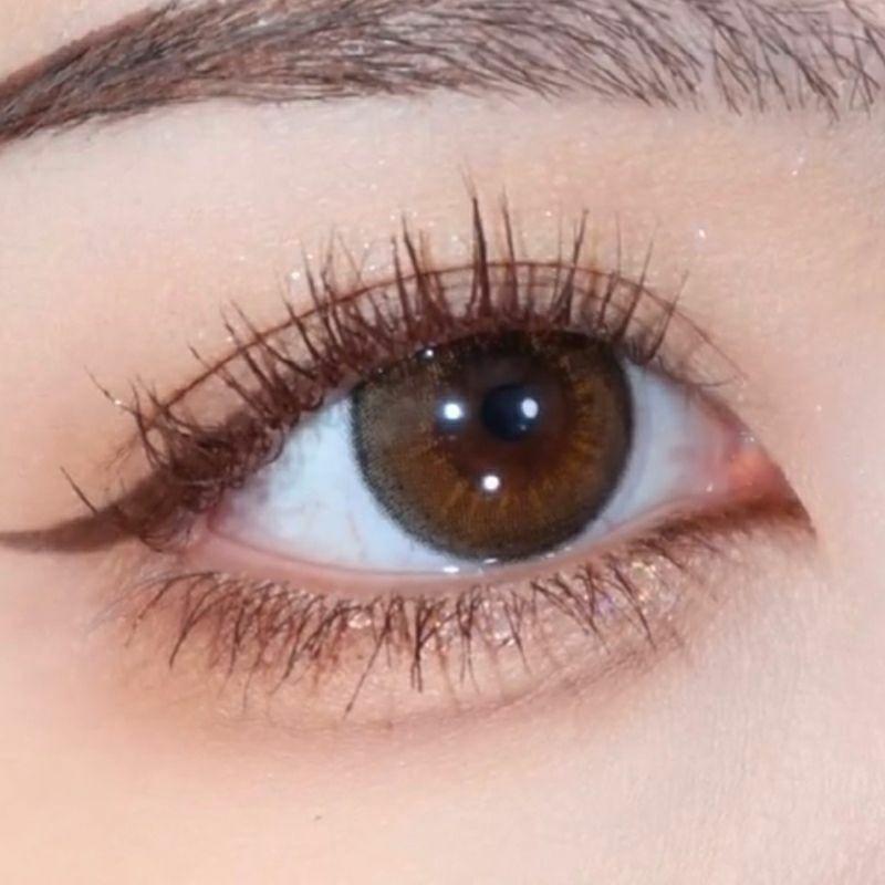 FOMOMY - sweet series 1 day - Peru brown(10p)