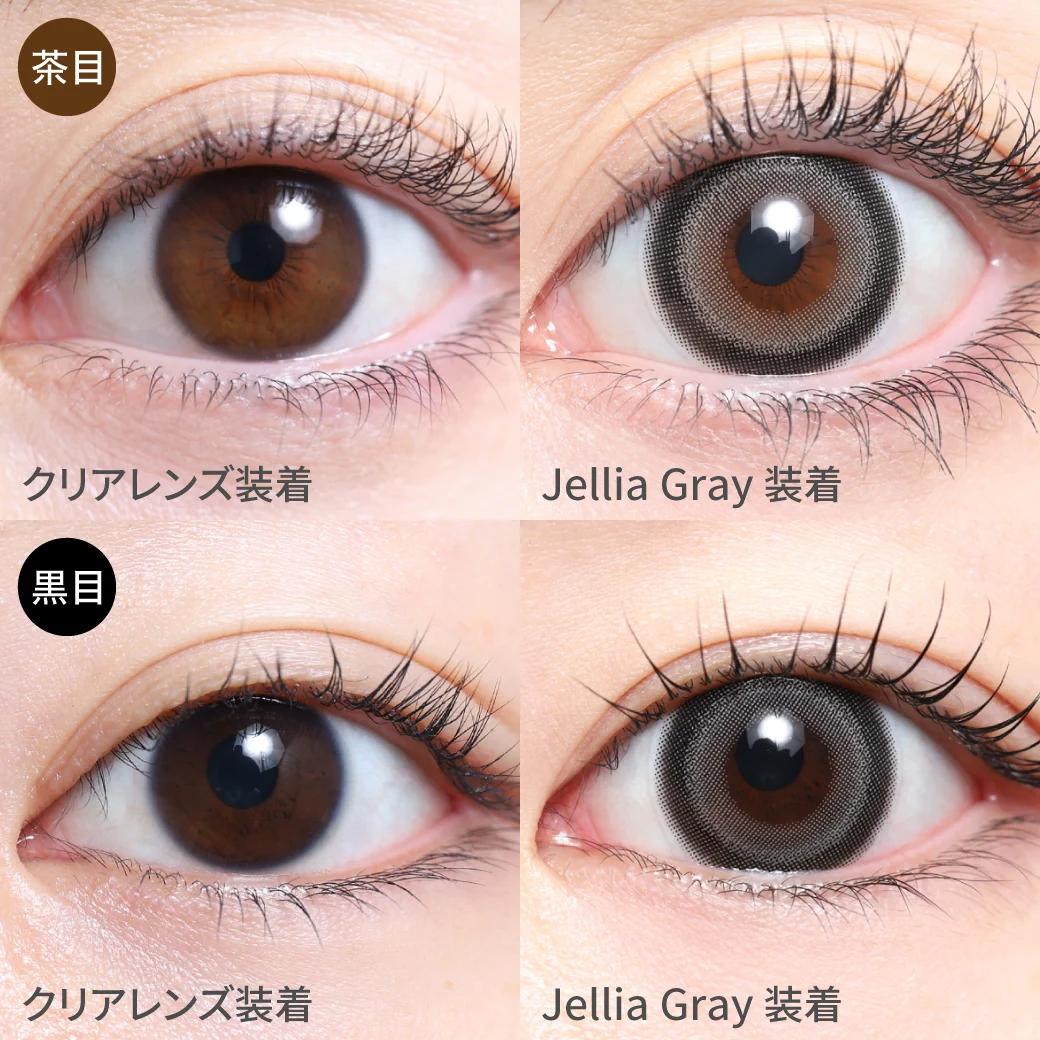 TeAmo - 1 Day Jellia Gray (10P)