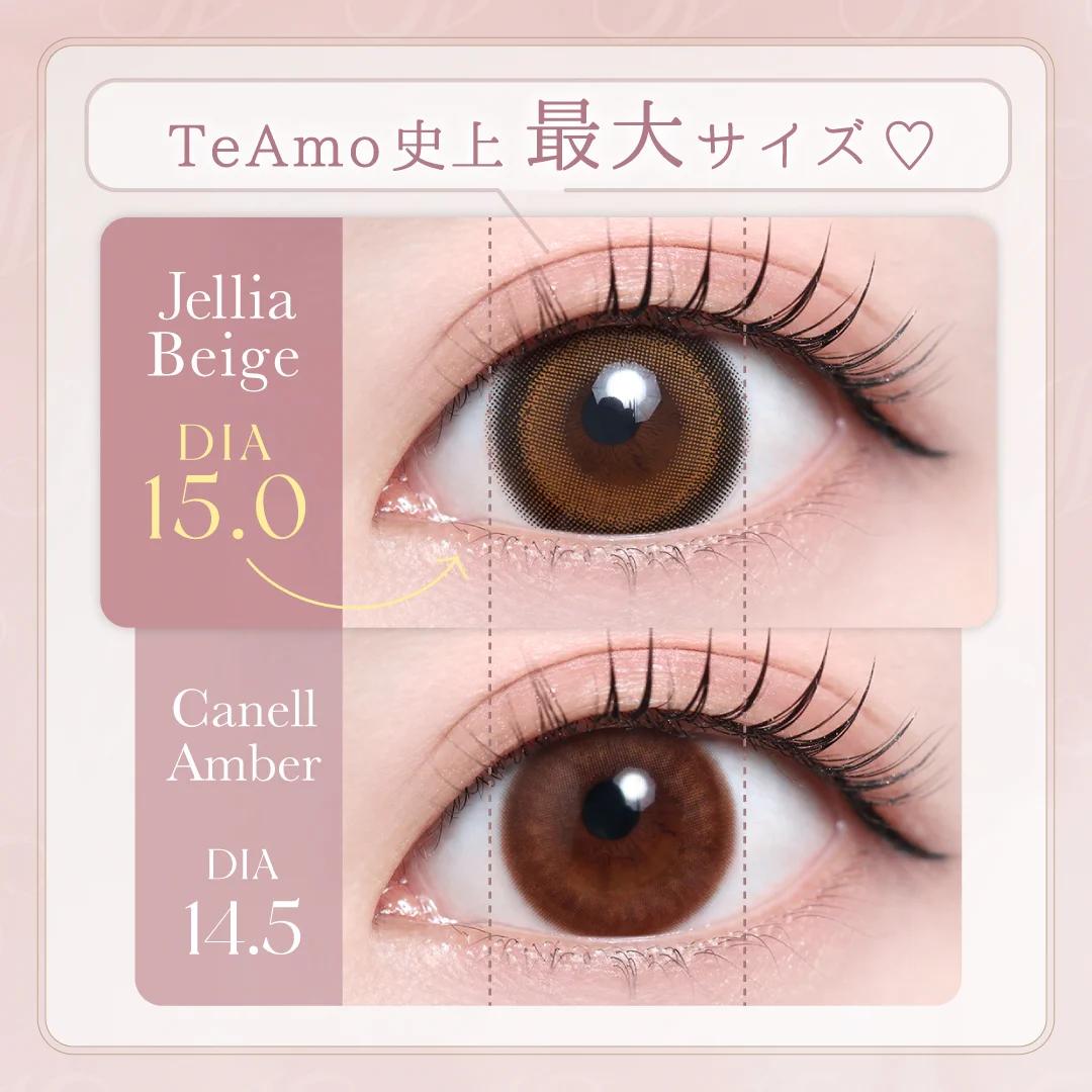 TeAmo - 1 Day Jellia Brown (10P)