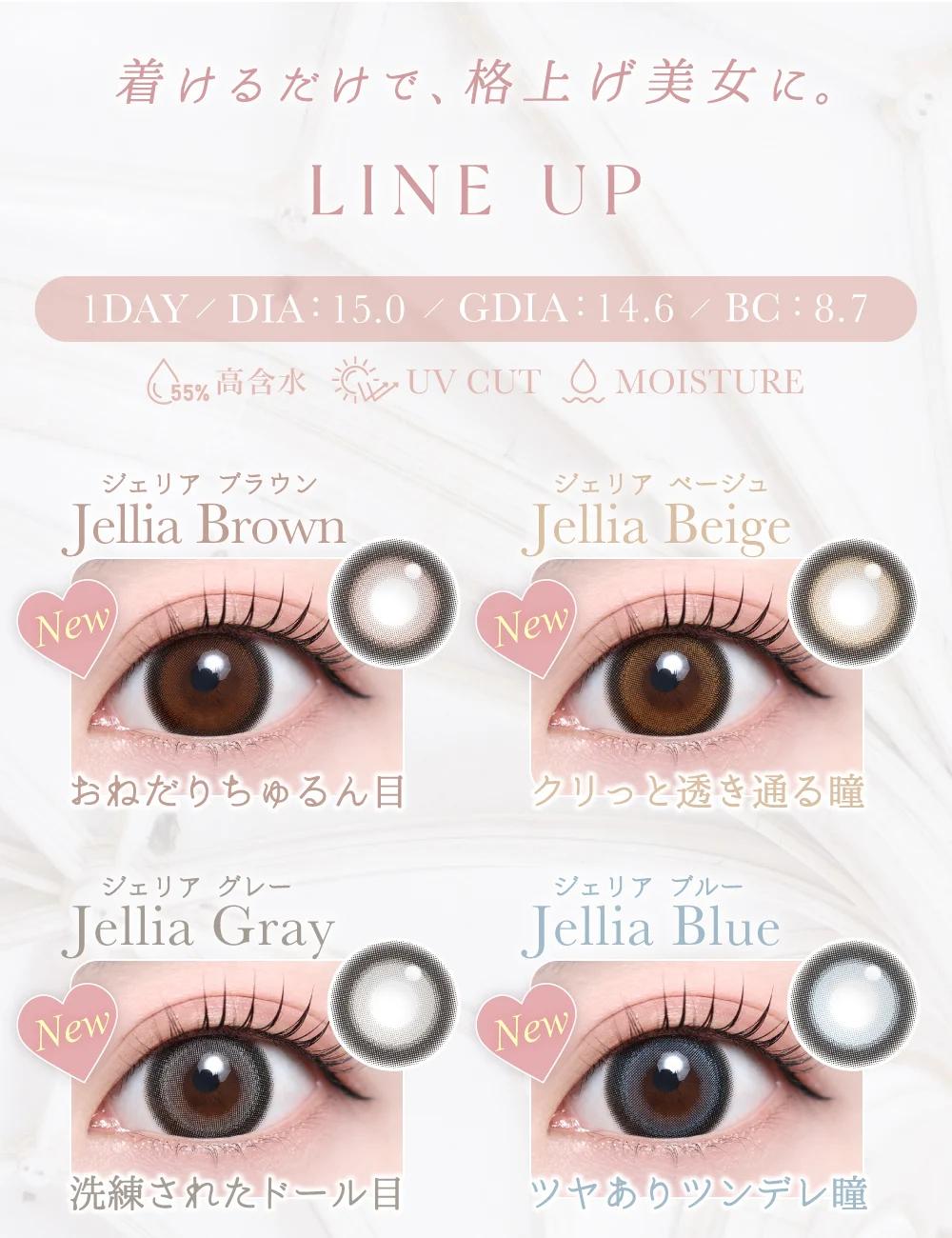 TeAmo - 1 Day Jellia Brown (10P)