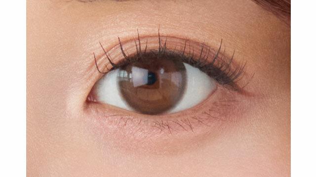 meilly - 1 Day chiffon brown (10P)