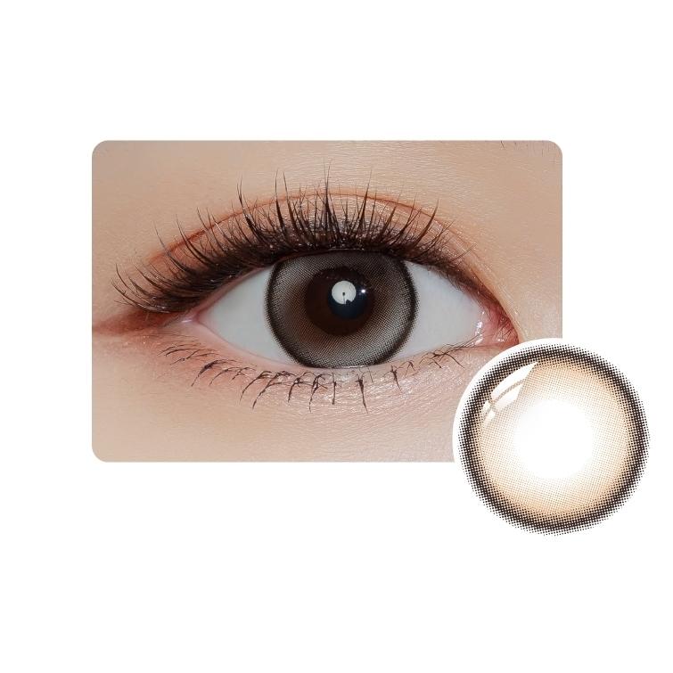 Eye Secret - 1 day Glazed Gray (10P)