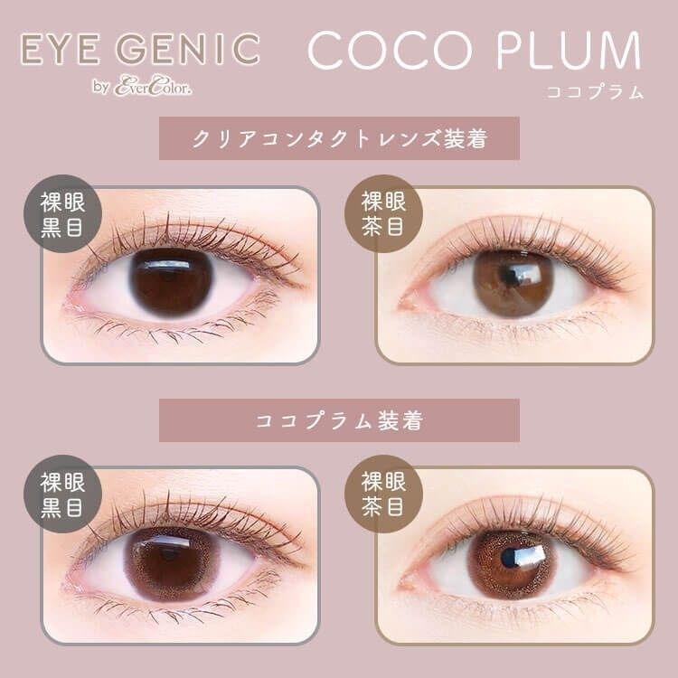 EYEGENIC - Coco Plum - 月con (1P／2P)