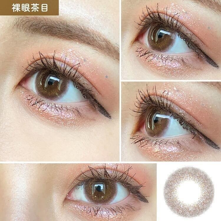 EYEGENIC - Coco Plum - 月con (1P／2P)