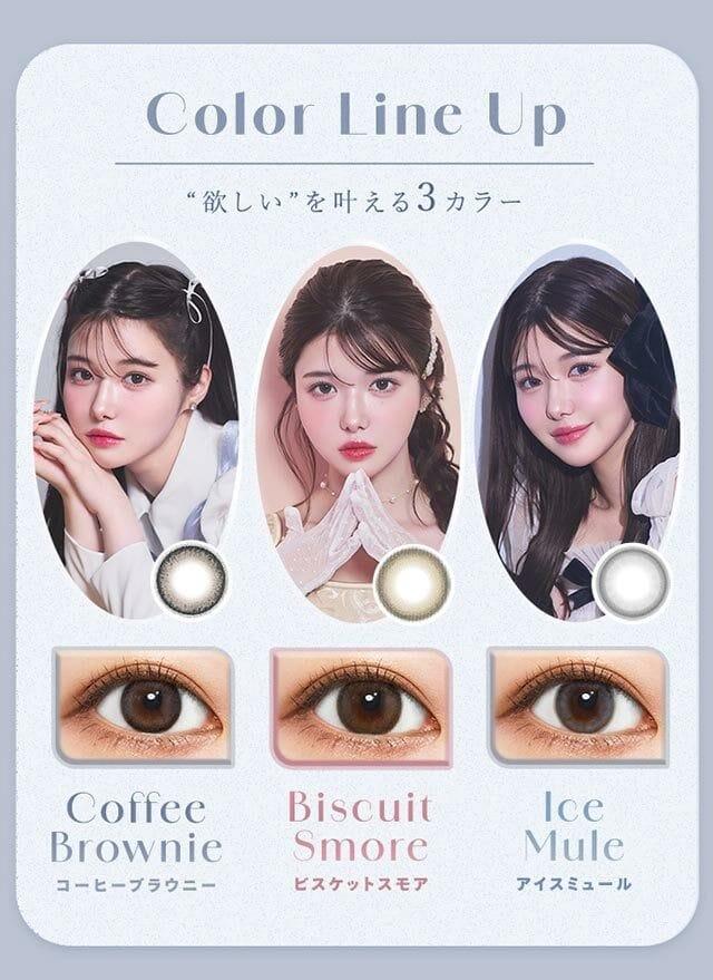 Charton - 1 day Coffee Brown (10P)