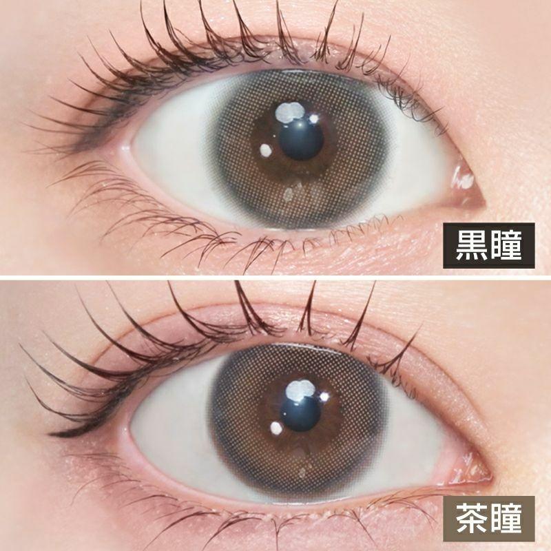 LARME - SILICONE HYDROGEL 1 Day - Winter Tint Brown (10P)