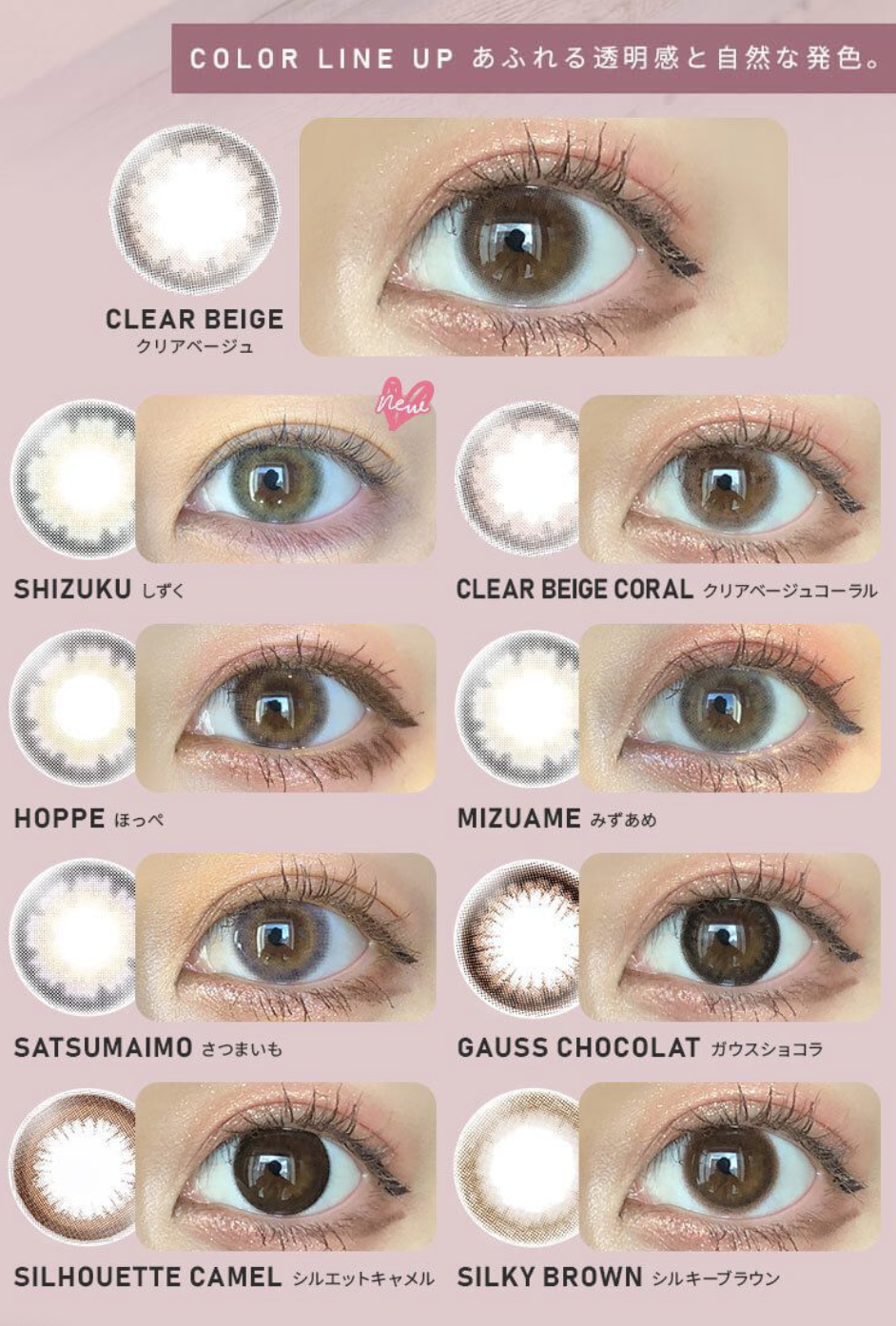 eye closet - 1 Day Holo Brown (10P)