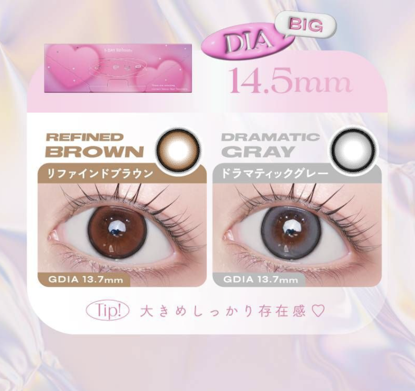 1-DAY Refrear a-eye - Dramatic Gray (10P)