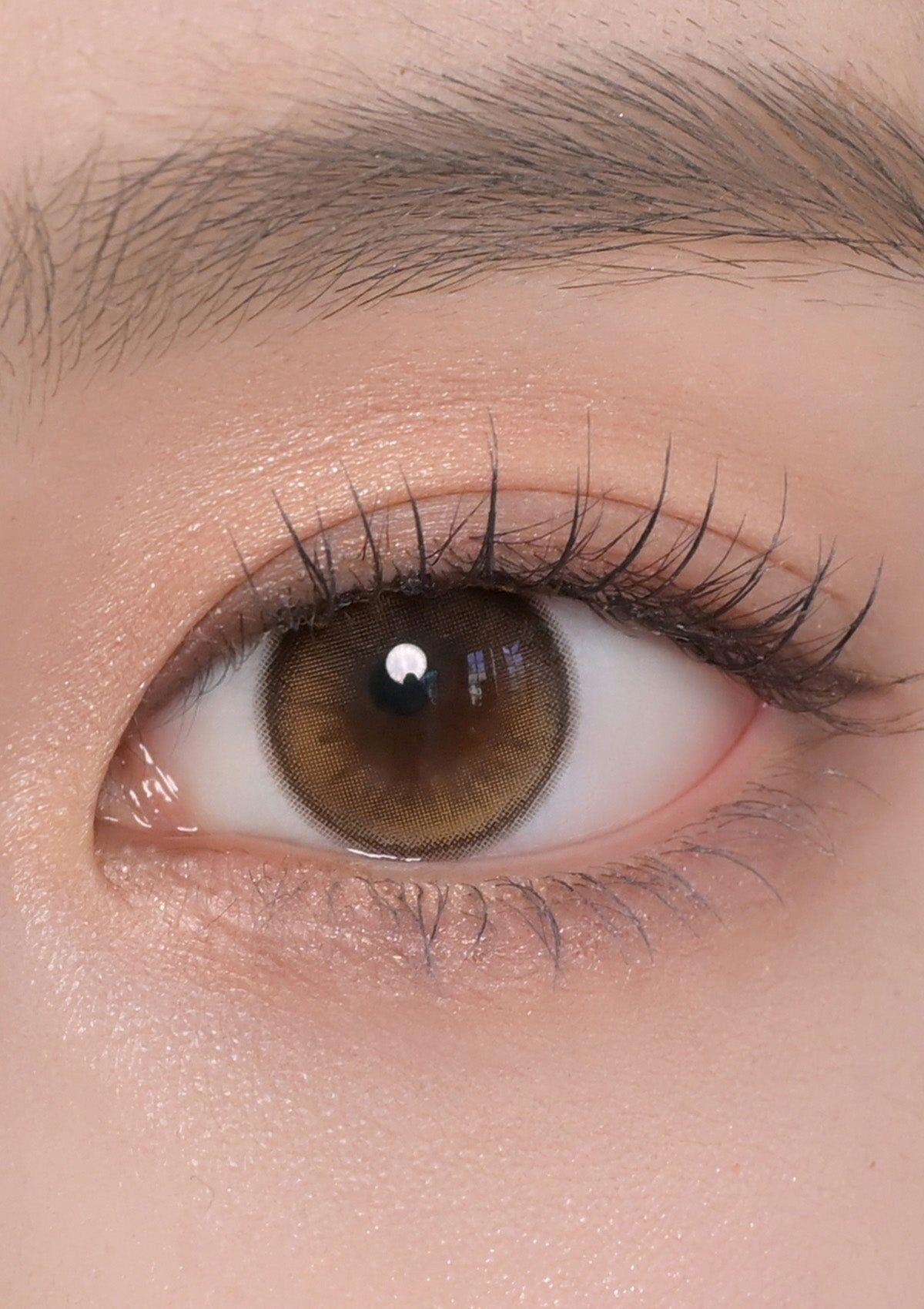 Chuu Lens Daisy Shower 1Day Pure Brown (10P)