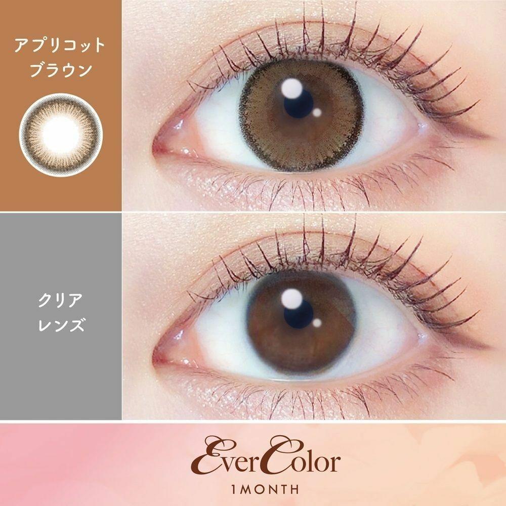 Evercolor - Apricot Brown 月con (2P)