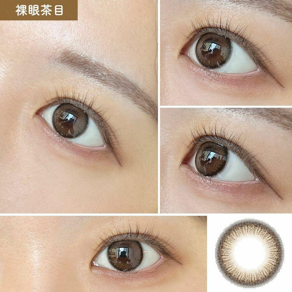 Evercolor - Apricot Brown 月con (2P)