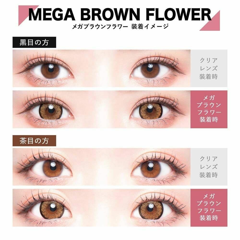 COLORS - Mega Brown Flower  月con (2P)