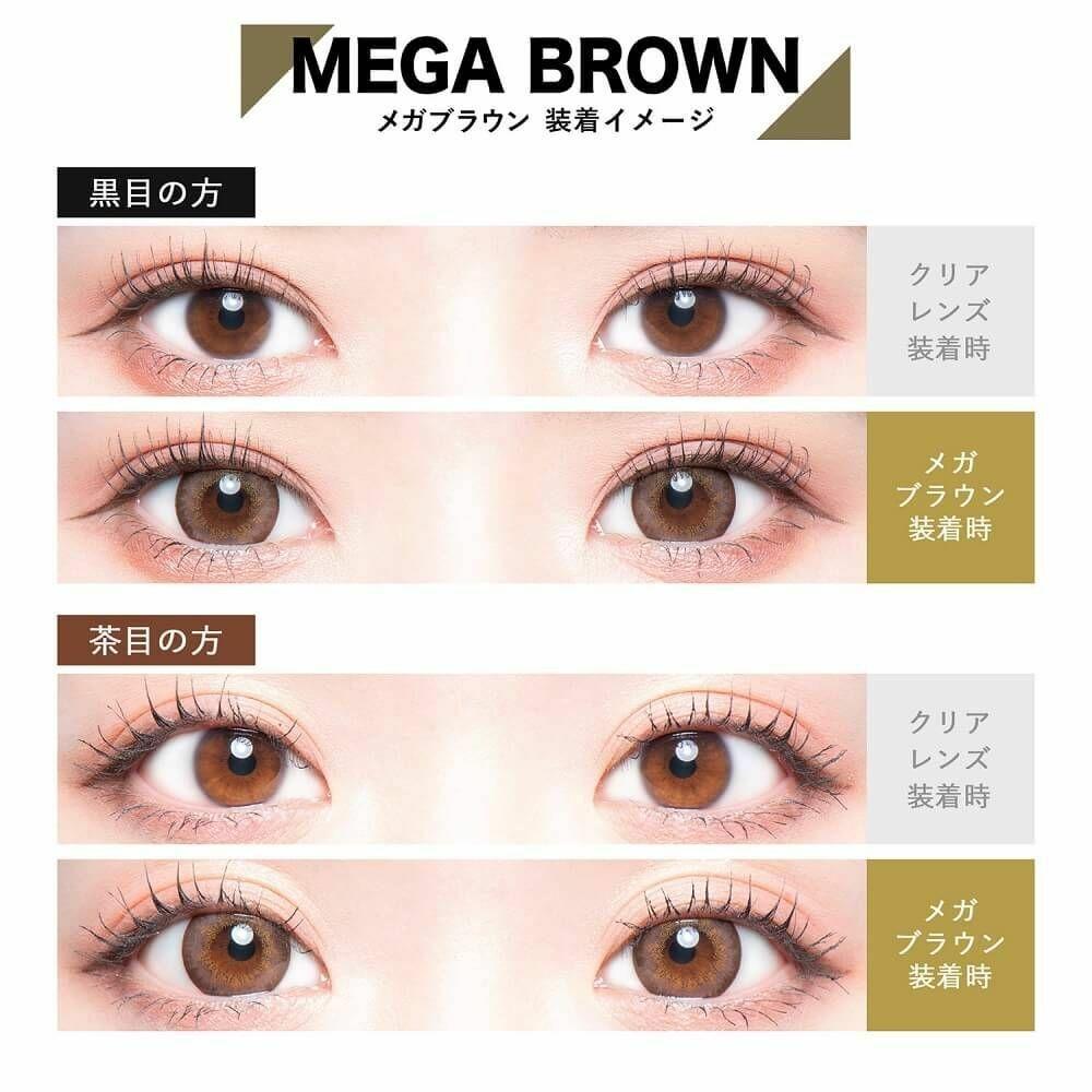 COLORS - Mega Brown月con (2P)