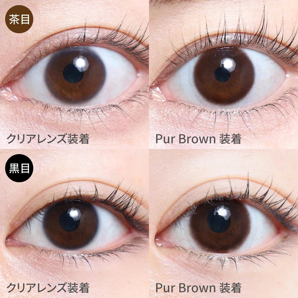 TeAmo - 1month Circle Type - Pur Brown (2P)