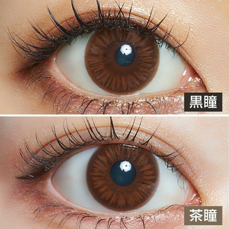 LARME - 2week Silicone - Beauty Brown (6P)