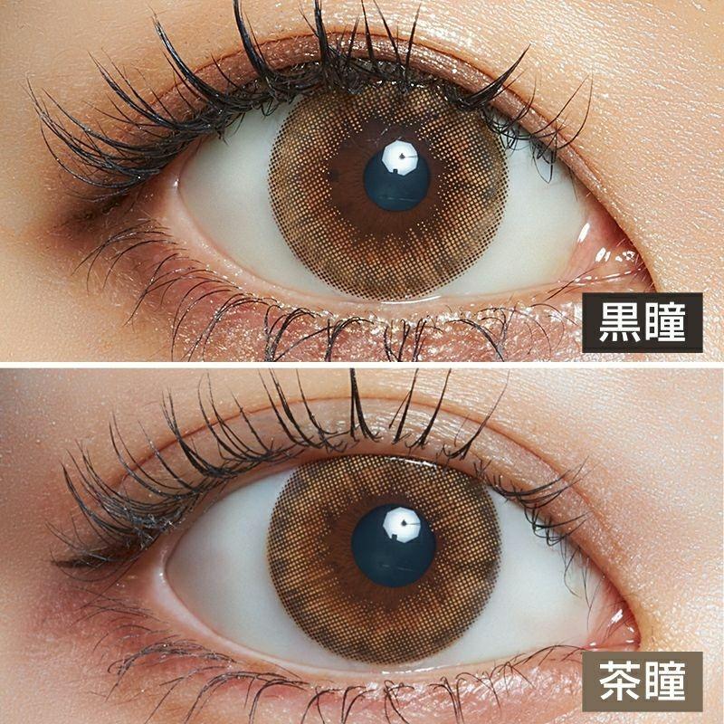 LARME - 2week Silicone - Honey Sweet (6P)