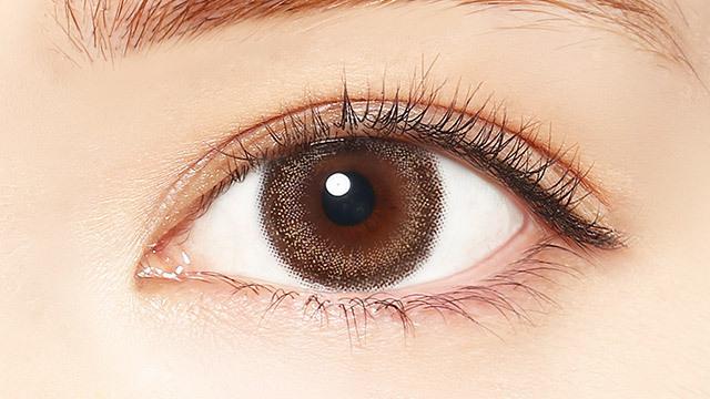 LALISH  - 1Day - mystic beige (10P)