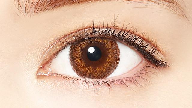 LALISH  - 1Day - nudy camel (10P)