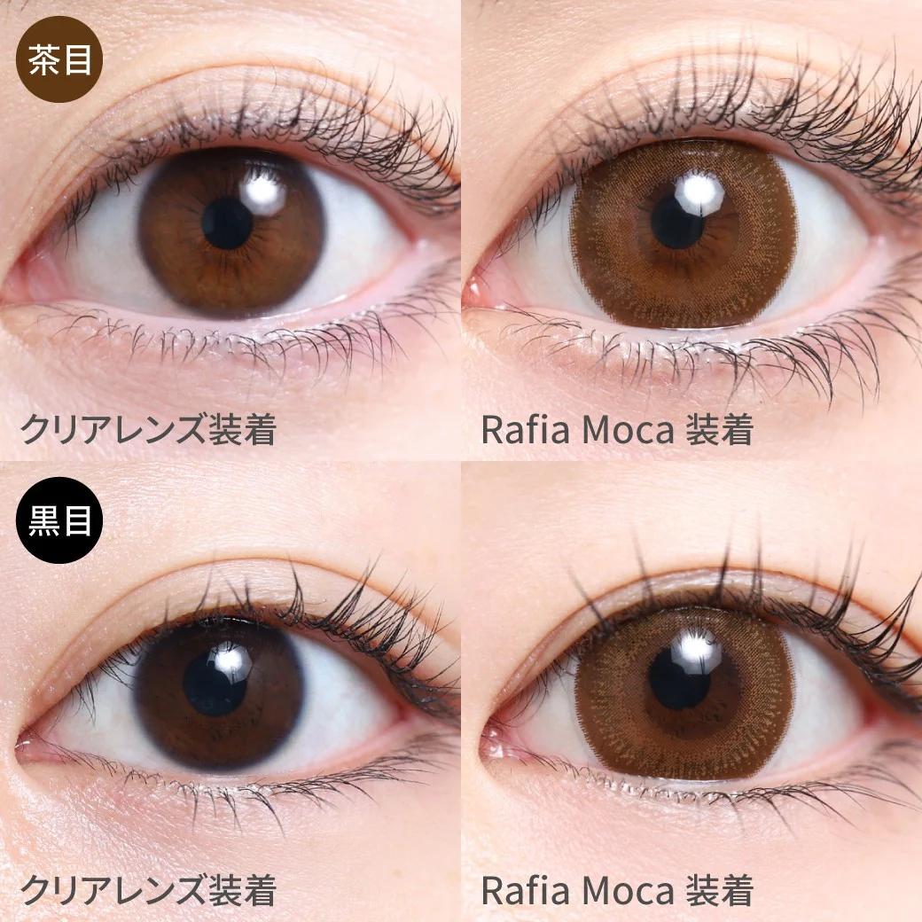 TeAmo - 1 Day Rafia Moca (10P)