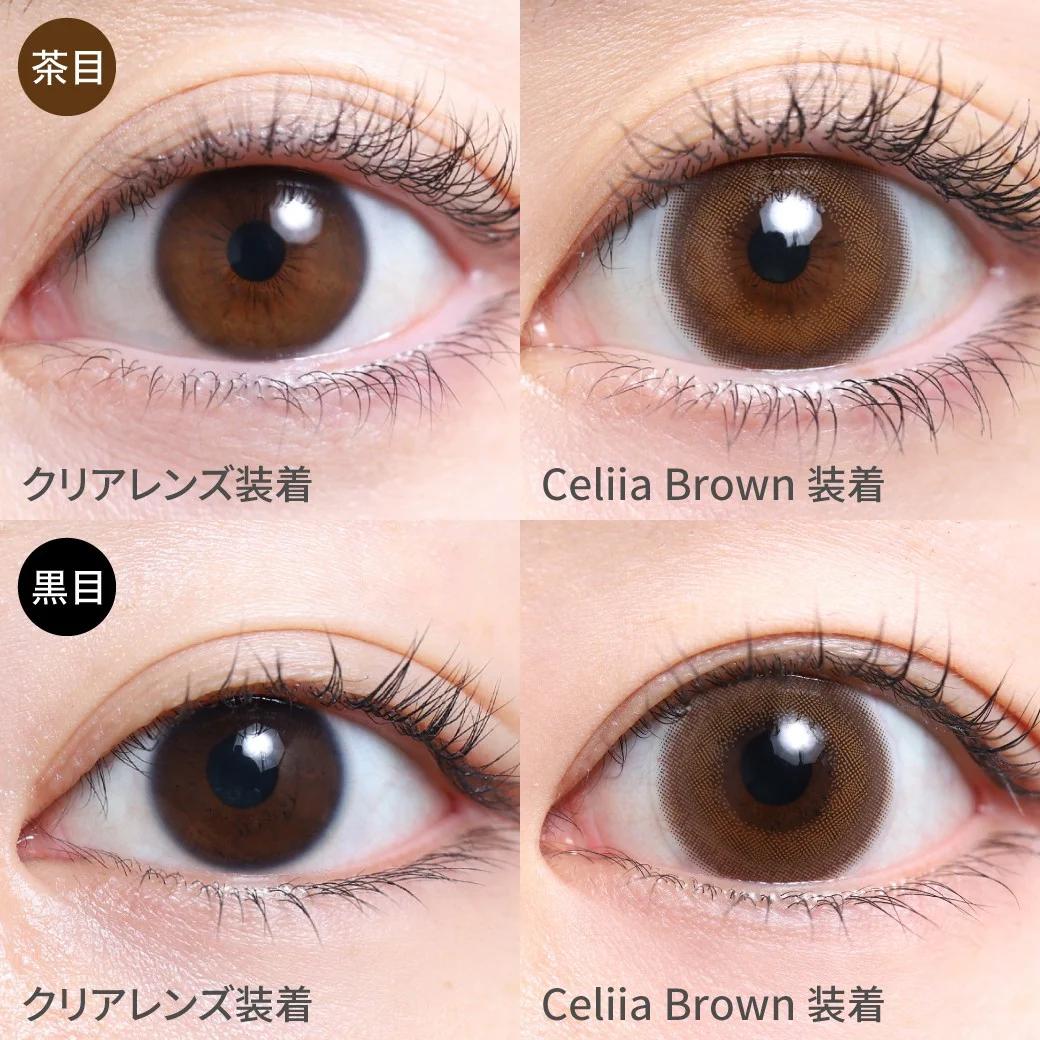 TeAmo - 1 Day Celiia Brown (10P)