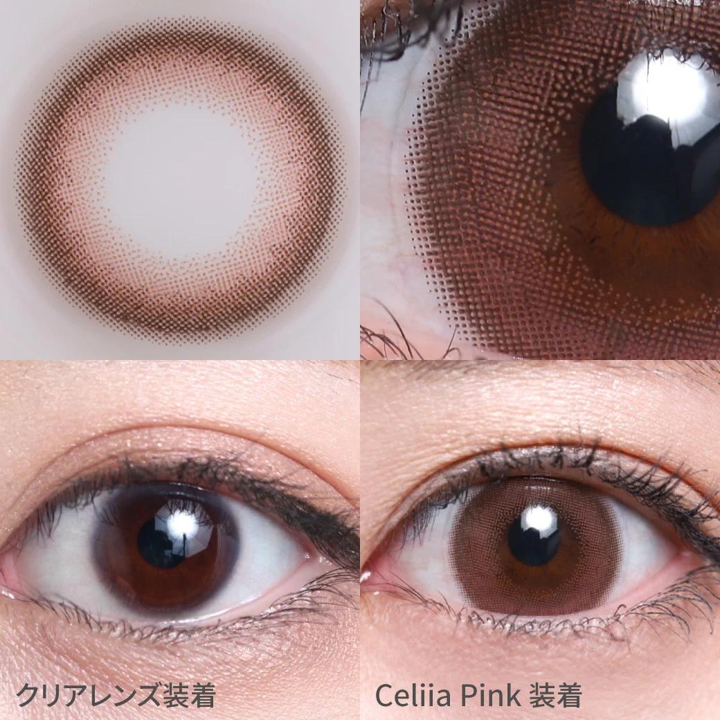 TeAmo - 1 Day Celiia Pink (10P)