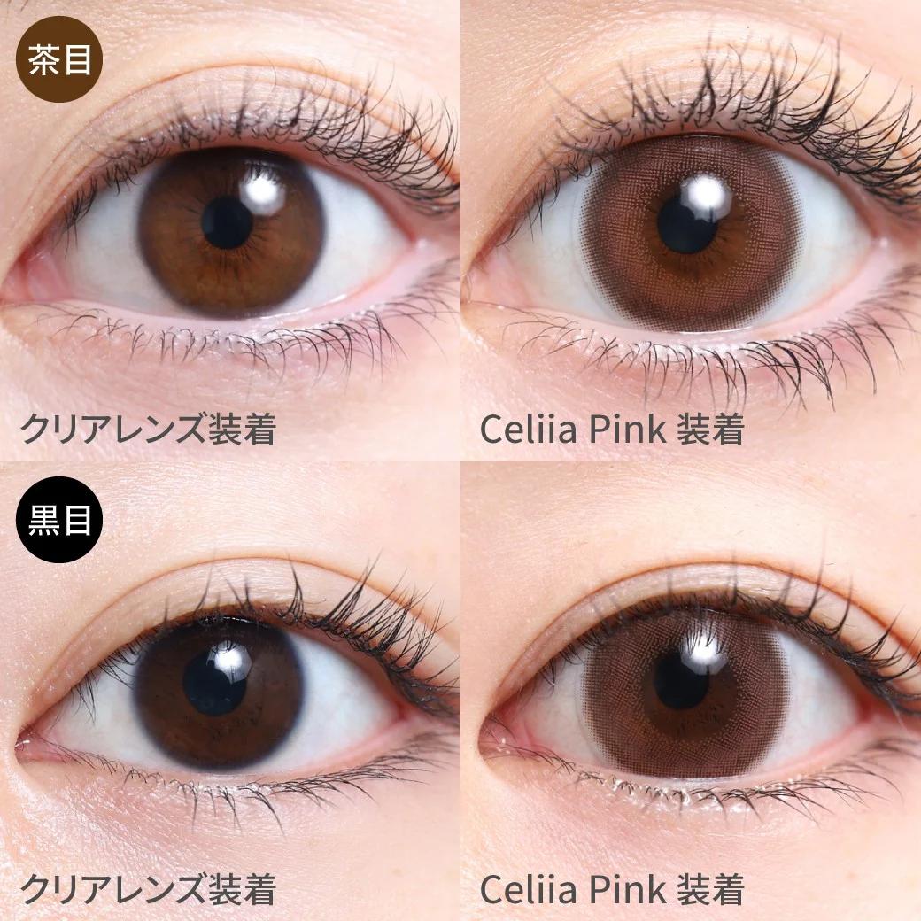 TeAmo - 1 Day Celiia Pink (10P)