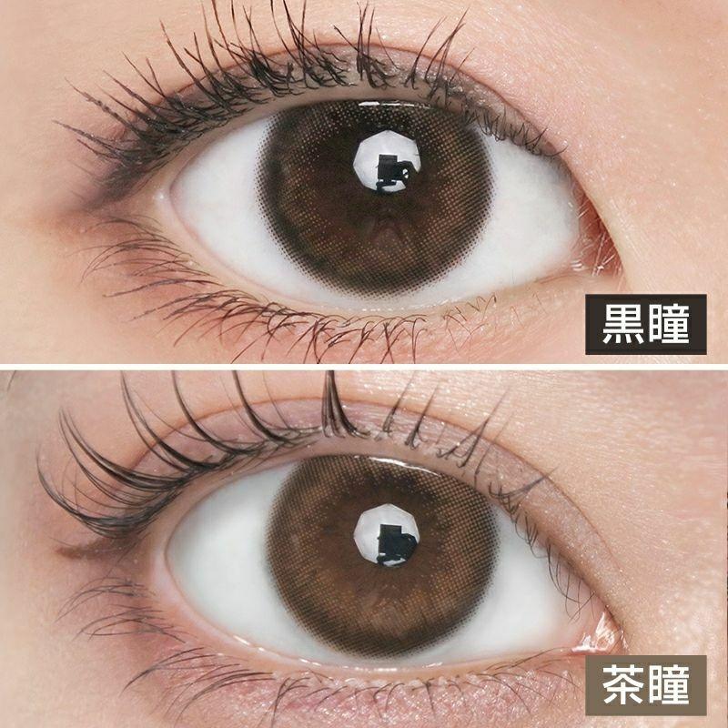 MEiME! by LARME - 1 Day Mont Brown (10P)