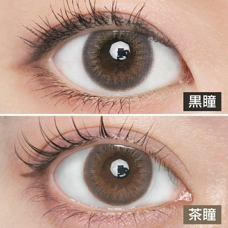 MEiME! by LARME - 1 Day Gray Udon (10P)