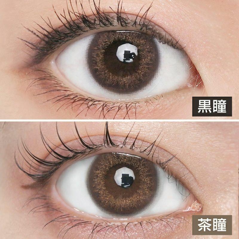 MEiME! by LARME - 1 Day Hamburg Brown (10P)