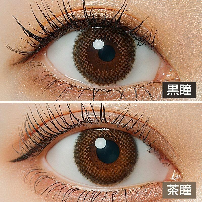 LARME - Mermaid 1 Day - Flair Chiffon (10P)