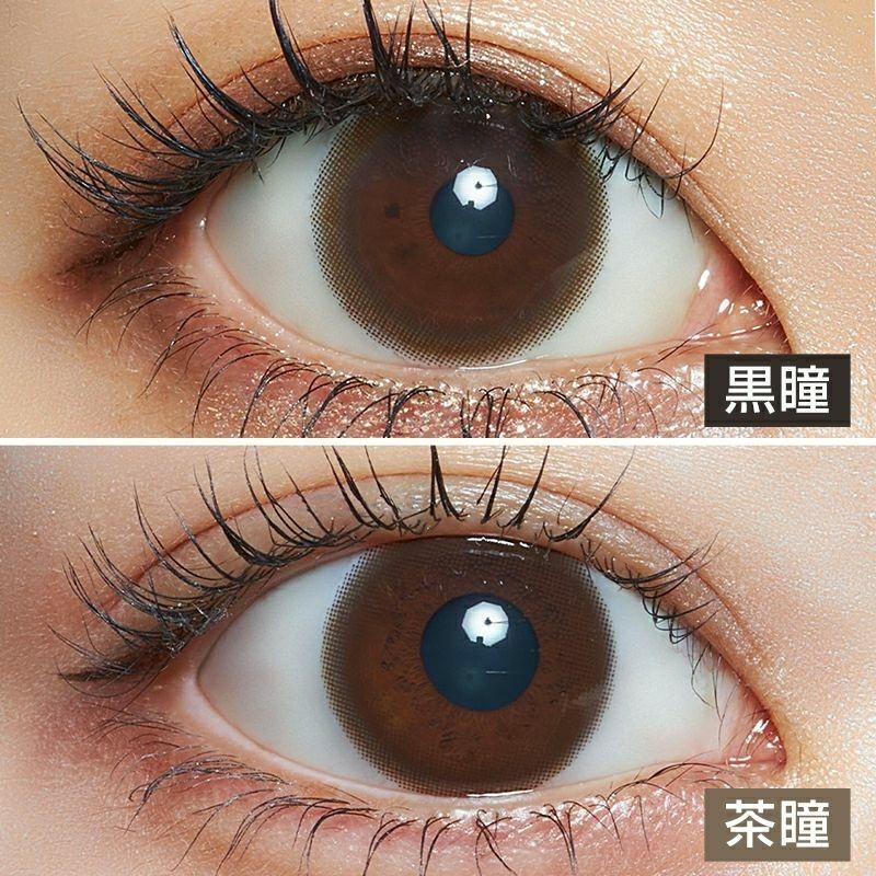 LARME - Ring UV 1 Day - Dark Brown (10P)