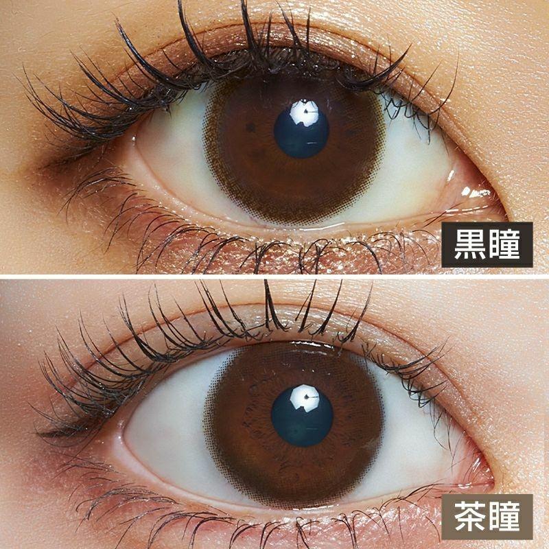 LARME - Ring UV 1 Day - Sheer chocolate (10P)