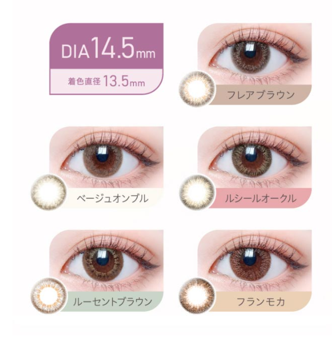 eRouge - 2 Weeks Beige Ombre (6P)