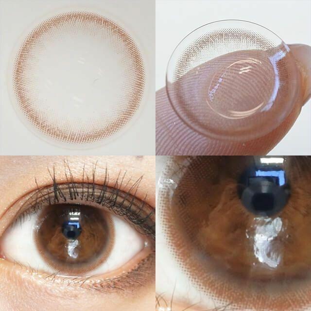 eRouge - 2 Weeks Sheer Brown (6P)