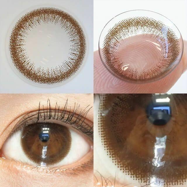 eRouge - 2 Weeks Chic Brown (6P)