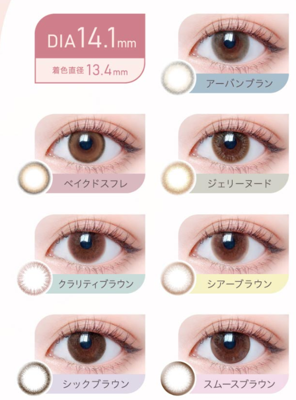 eRouge - 2 Weeks Chic Brown (6P)