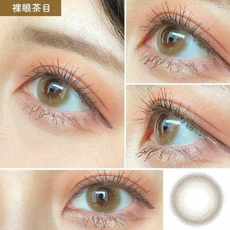 Diya - 1 Day Bloom UV MOIST - Snow Daisy (10P)