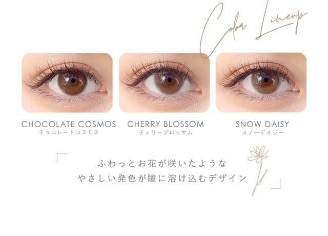 Diya - 1 Day Bloom UV MOIST - Cherry Blossom (10P)