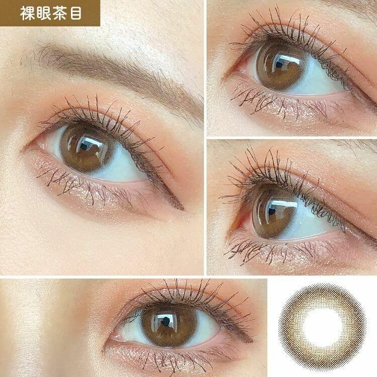 Diya - 1 Day Bloom UV MOIST - Chocolate Cosmos (10P)