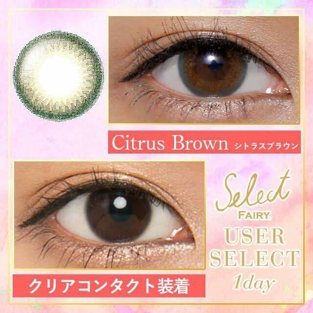 Select FAIRY - 1 Day USER SELECT - Citrus Brown (10P)