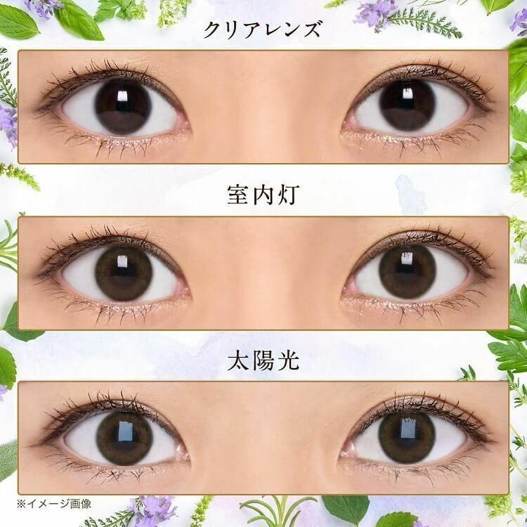 Select FAIRY - 1 Day USER SELECT UV Moisture - Sunny Brown (10P)