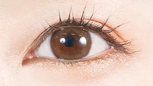 MERRY BASIC - 1 Day 204 Dark Brown (10P)