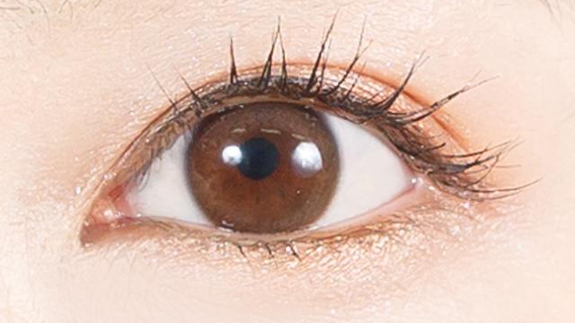 MERRY BASIC - 1 Day 203 Sienna Brown (10P)