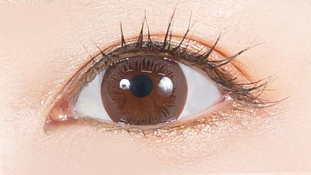 MERRY BASIC - 1 Day 202 Raw Umber (10P)