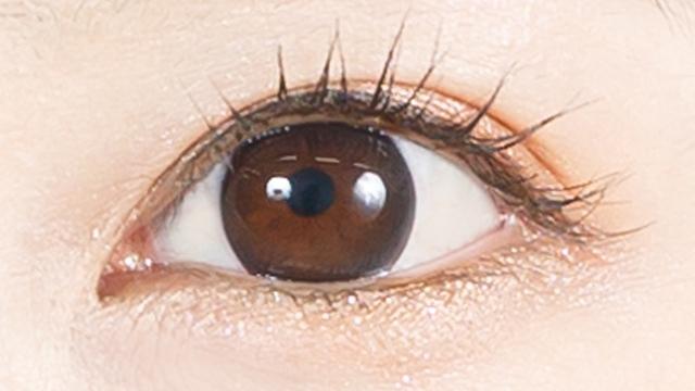 MERRY BASIC - 1 Day 101 Clear Black (10P)