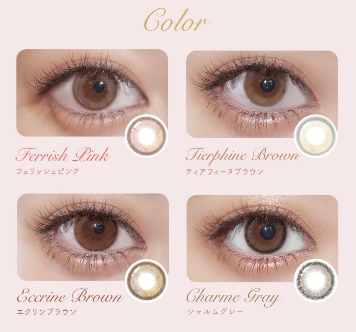 Ferenne - 1 Day - Charme Gray (10P)