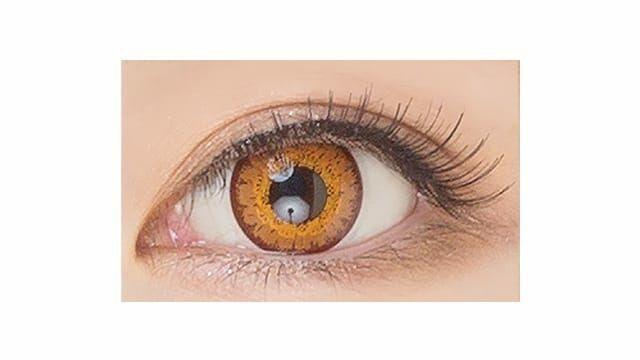 Etia - Coeur 1day - Amber (6P)