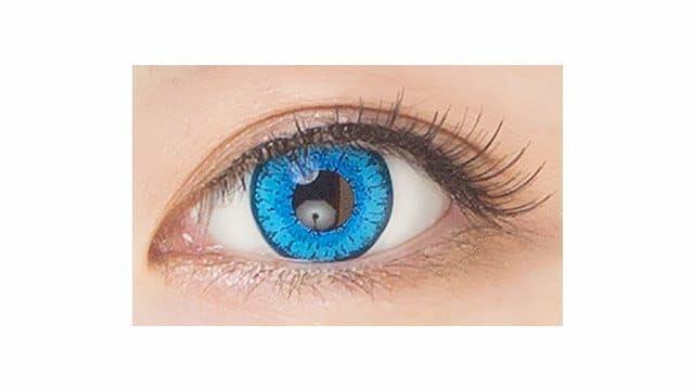 Etia - Coeur 1day - Bluerose (6P)